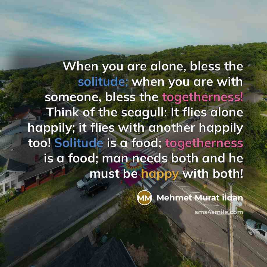 “When you are alone, bless the solitude; when you are…” quote by Mehmet Murat Ildan