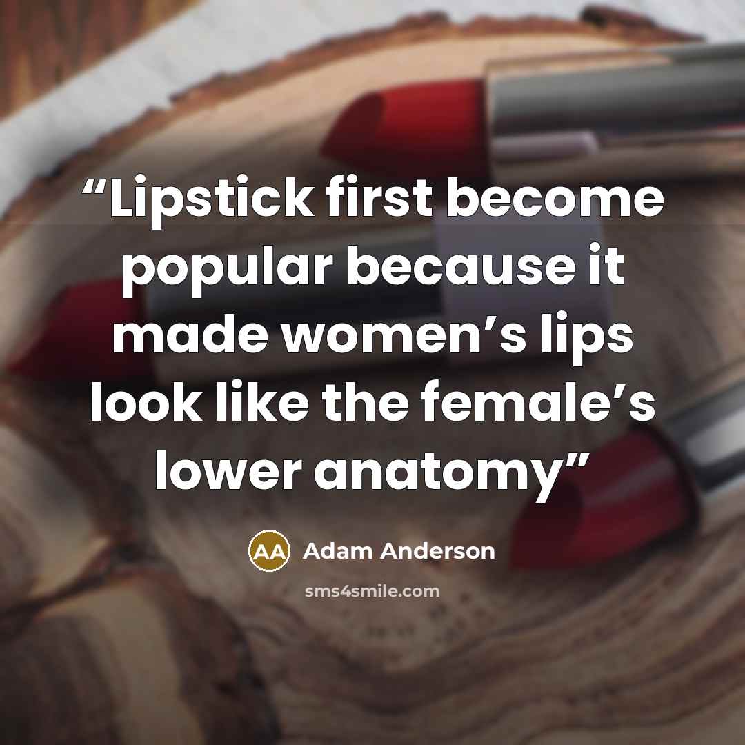 “Lipstick first become popular because it made women’s lips look like the female’s lower anatomy” quote by Adam Anderson