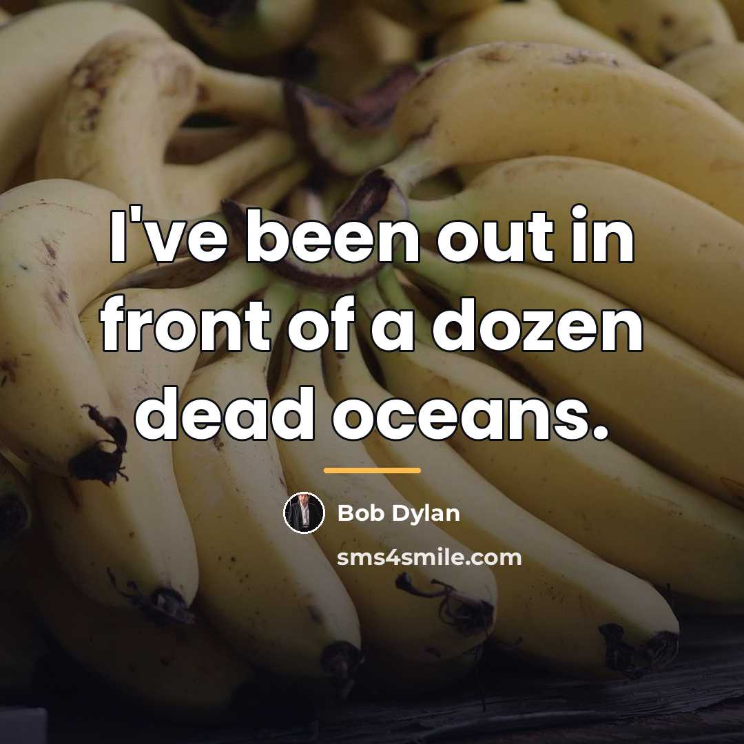 “I've been out in front of a dozen dead oceans.…” quote by Bob Dylan