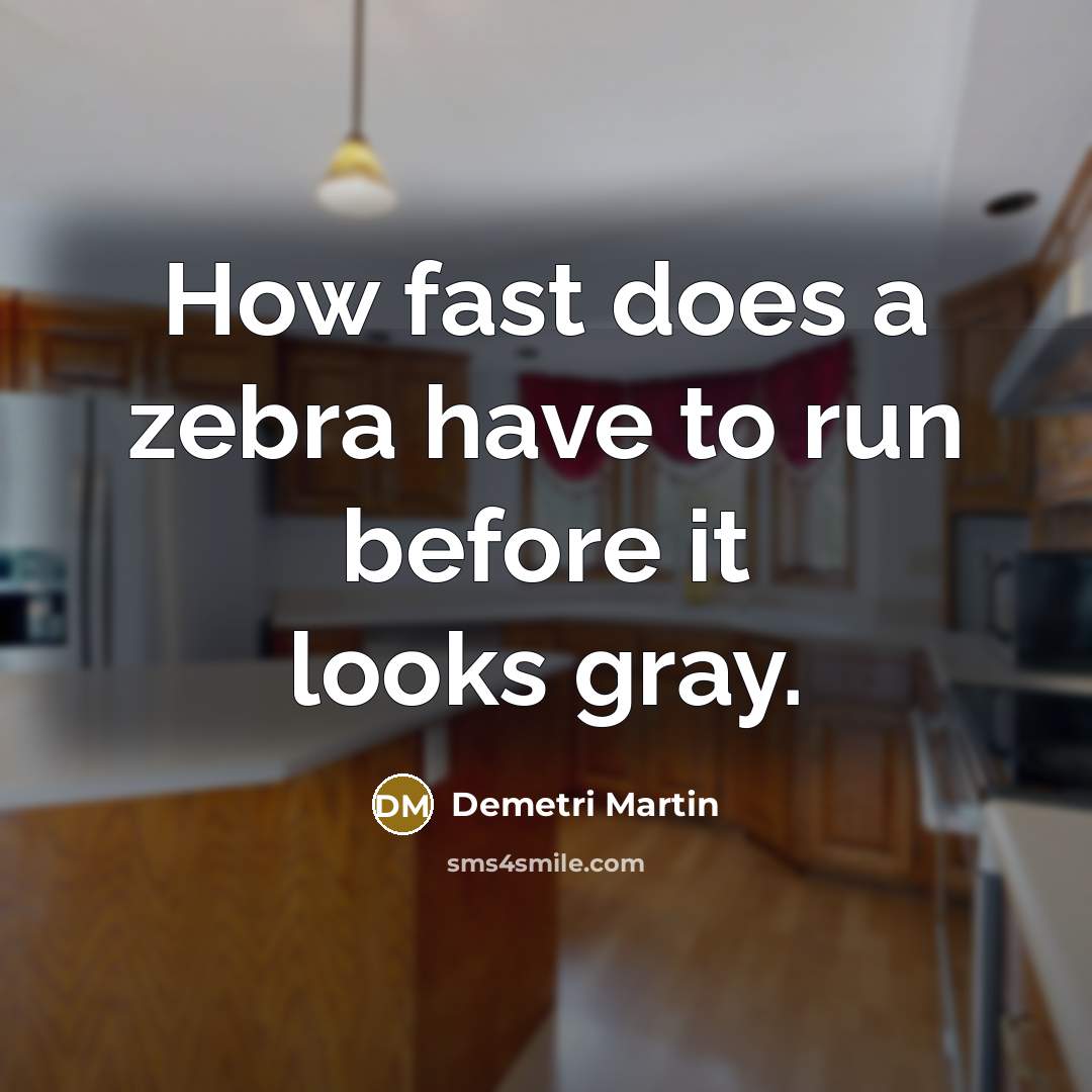 “How fast does a zebra have to run before it…” quote by Demetri Martin