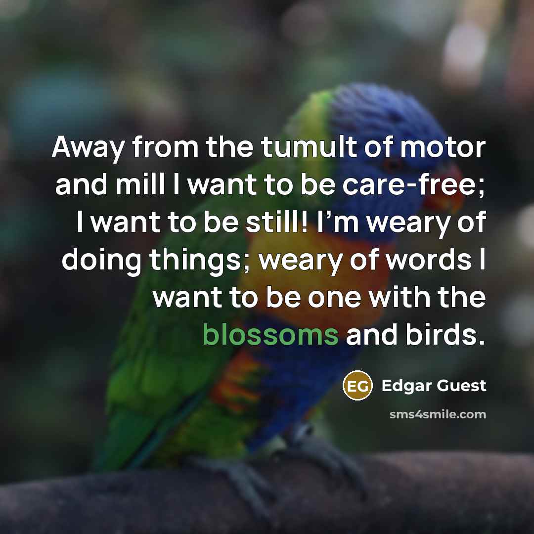 “Away from the tumult of motor and mill I want…” quote by Edgar Guest