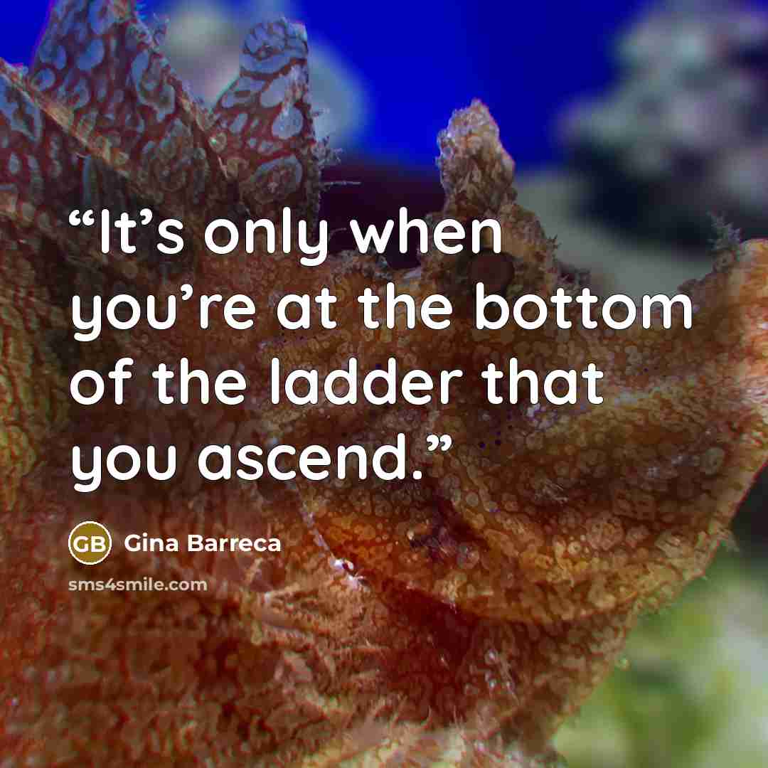“It’s only when you’re at the bottom of the ladder that you ascend.” quote by Gina Barreca