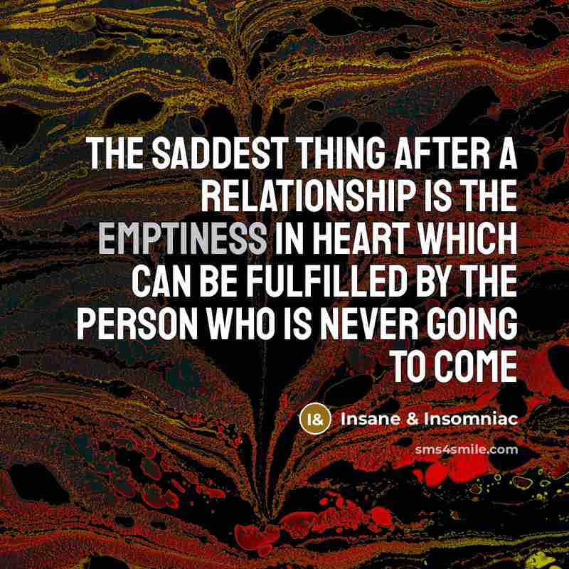 “The saddest thing after a relationship is the Emptiness in…” quote by Insane & Insomniac