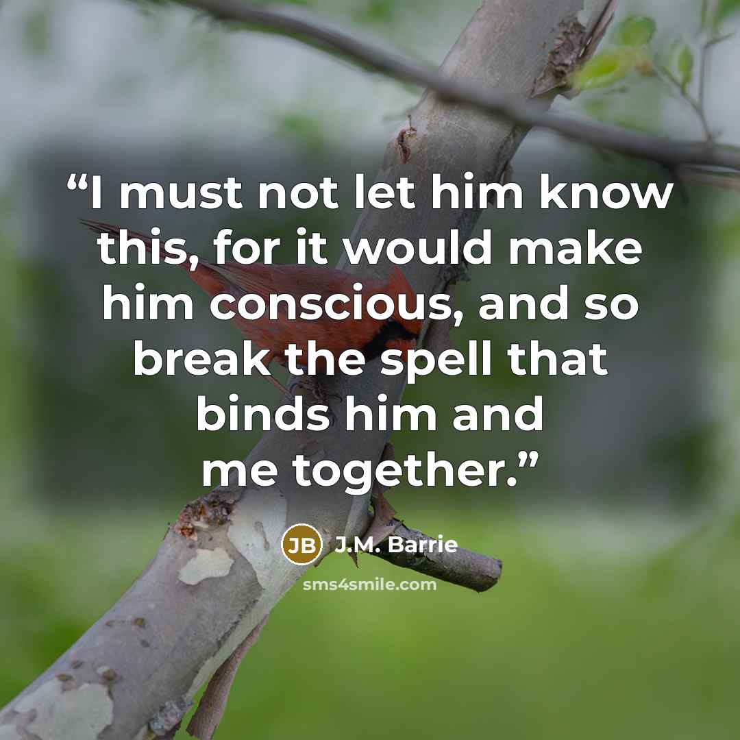 “I must not let him know this, for it would make him conscious, and so break the spell that binds him and me together.” quote by J.M. Barrie