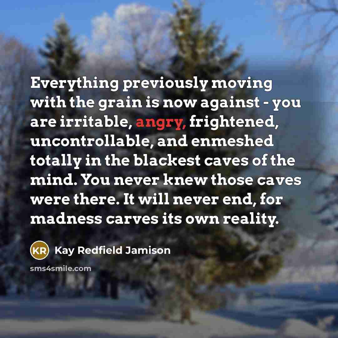 “Everything previously moving with the grain is now against -…” quote by Kay Redfield Jamison