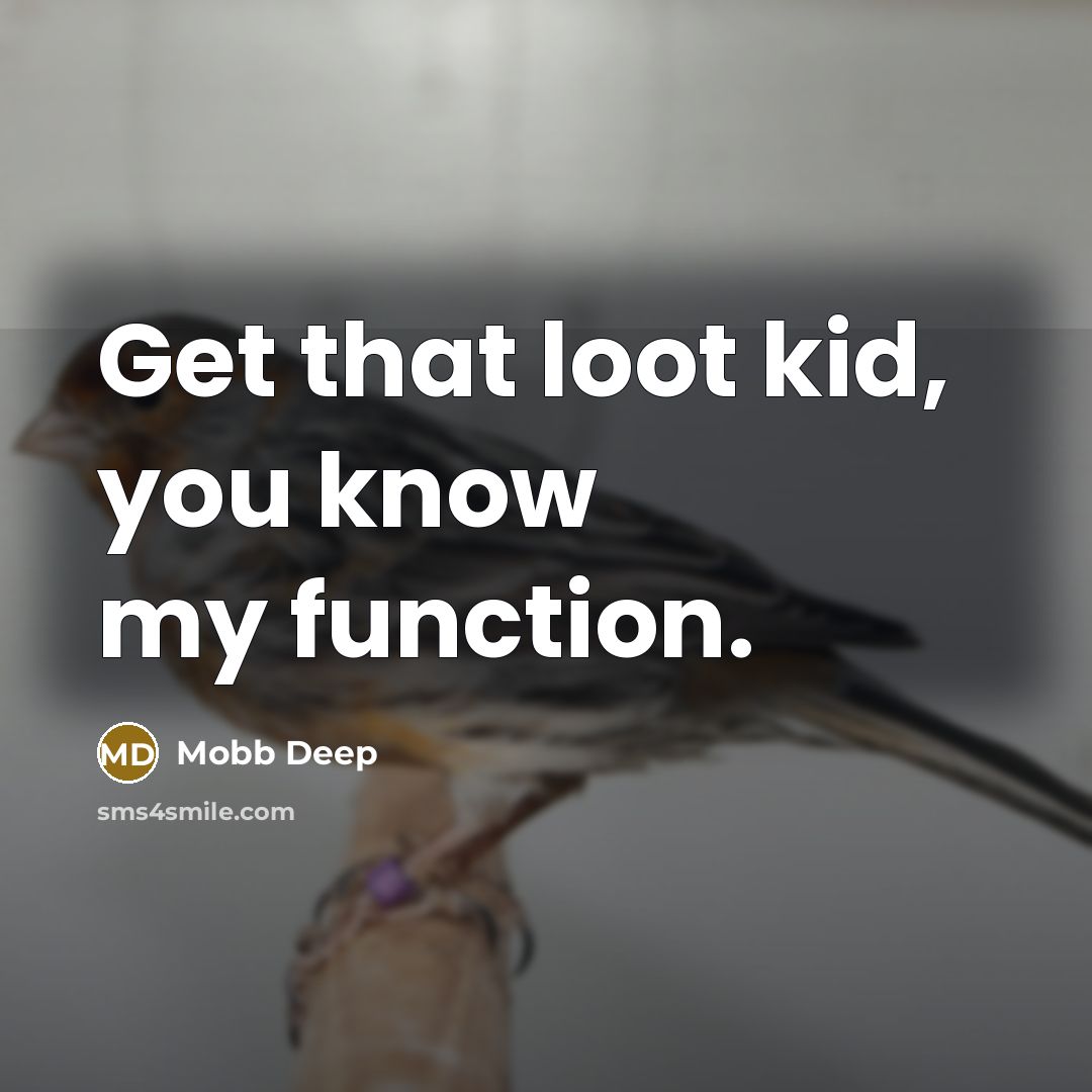 “Get that loot kid, you know my function.” quote by Mobb Deep