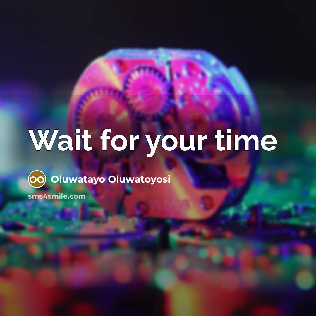 “Wait for your time…” quote by Oluwatayo Oluwatoyosi