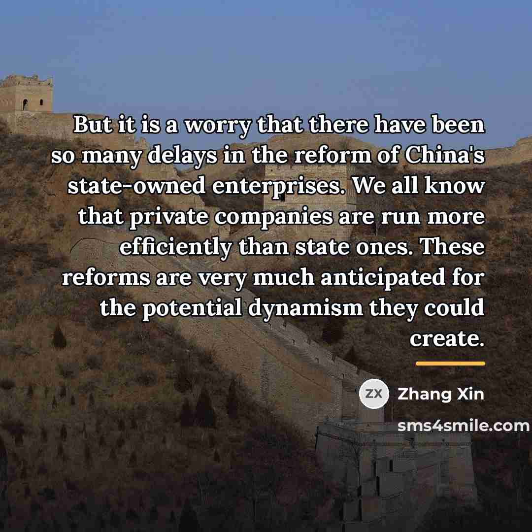 “But it is a worry that there have been so…” quote by Zhang Xin