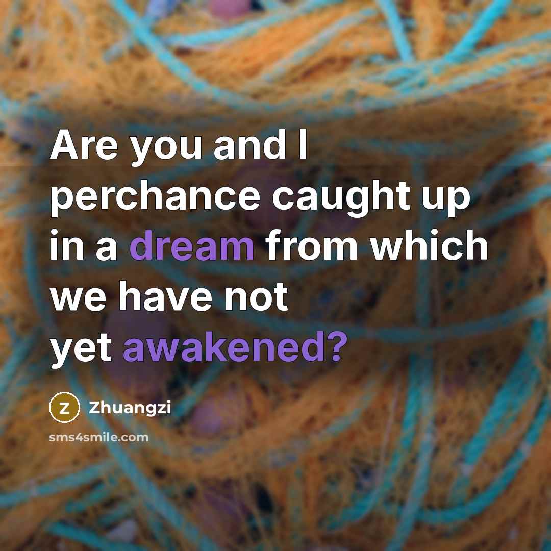 “Are you and I perchance caught up in a dream…” quote by Zhuangzi