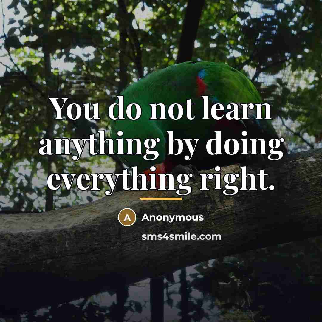 “You do not learn anything by doing everything right.…” quote by Anonymous