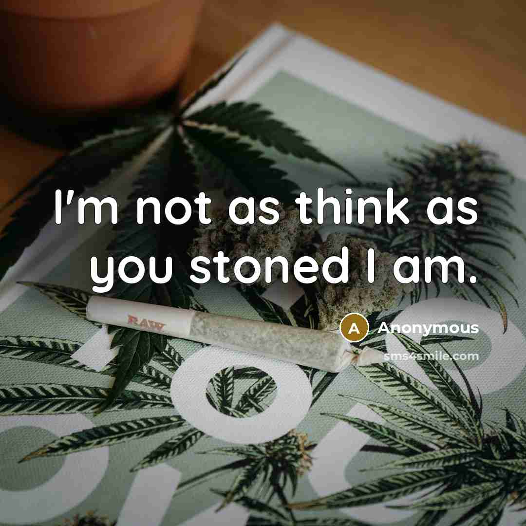 “I'm not as think as you stoned I am.…” quote by Anonymous