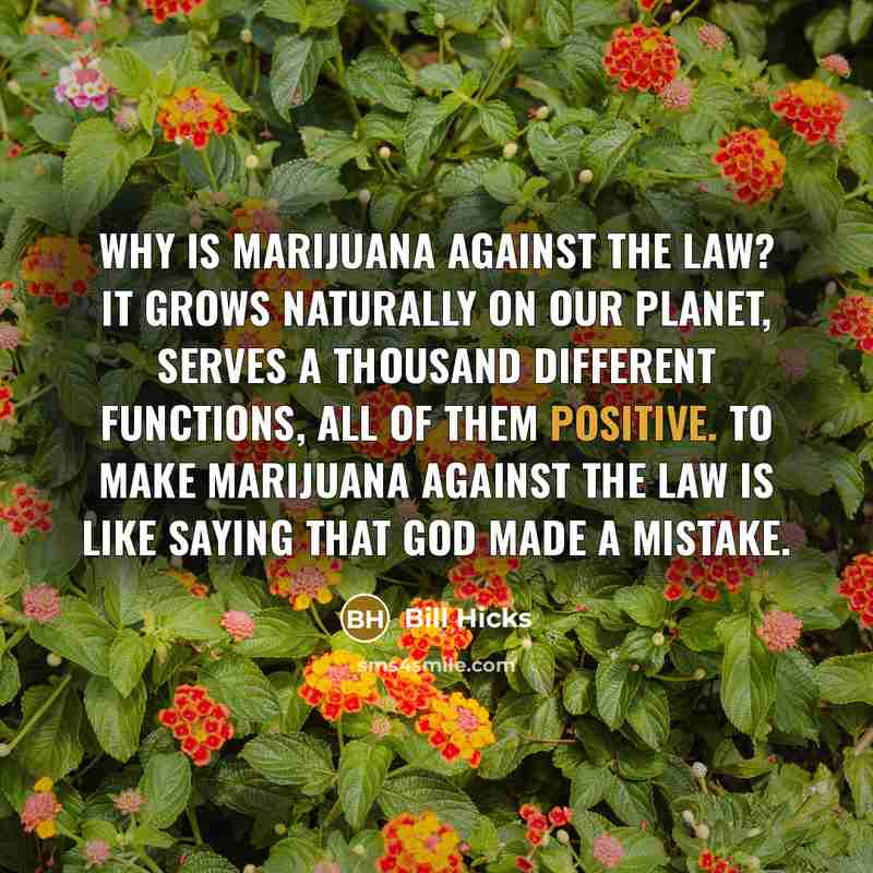 “Why is marijuana against the law? It grows naturally on…” quote by Bill Hicks