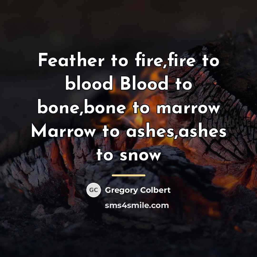 “Feather to fire,fire to blood Blood to bone,bone to marrow…” quote by Gregory Colbert