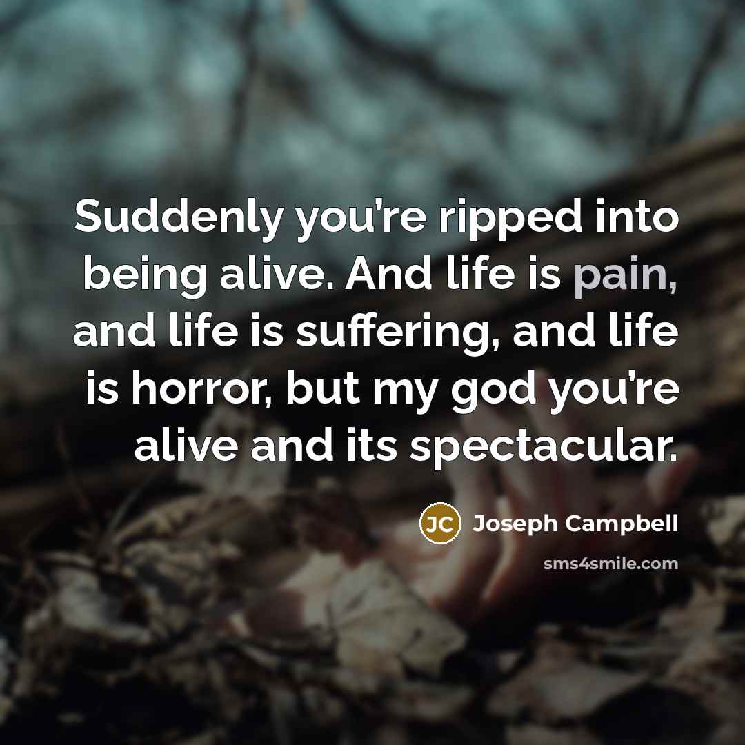 “Suddenly you’re ripped into being alive. And life is pain,…” quote by Joseph Campbell