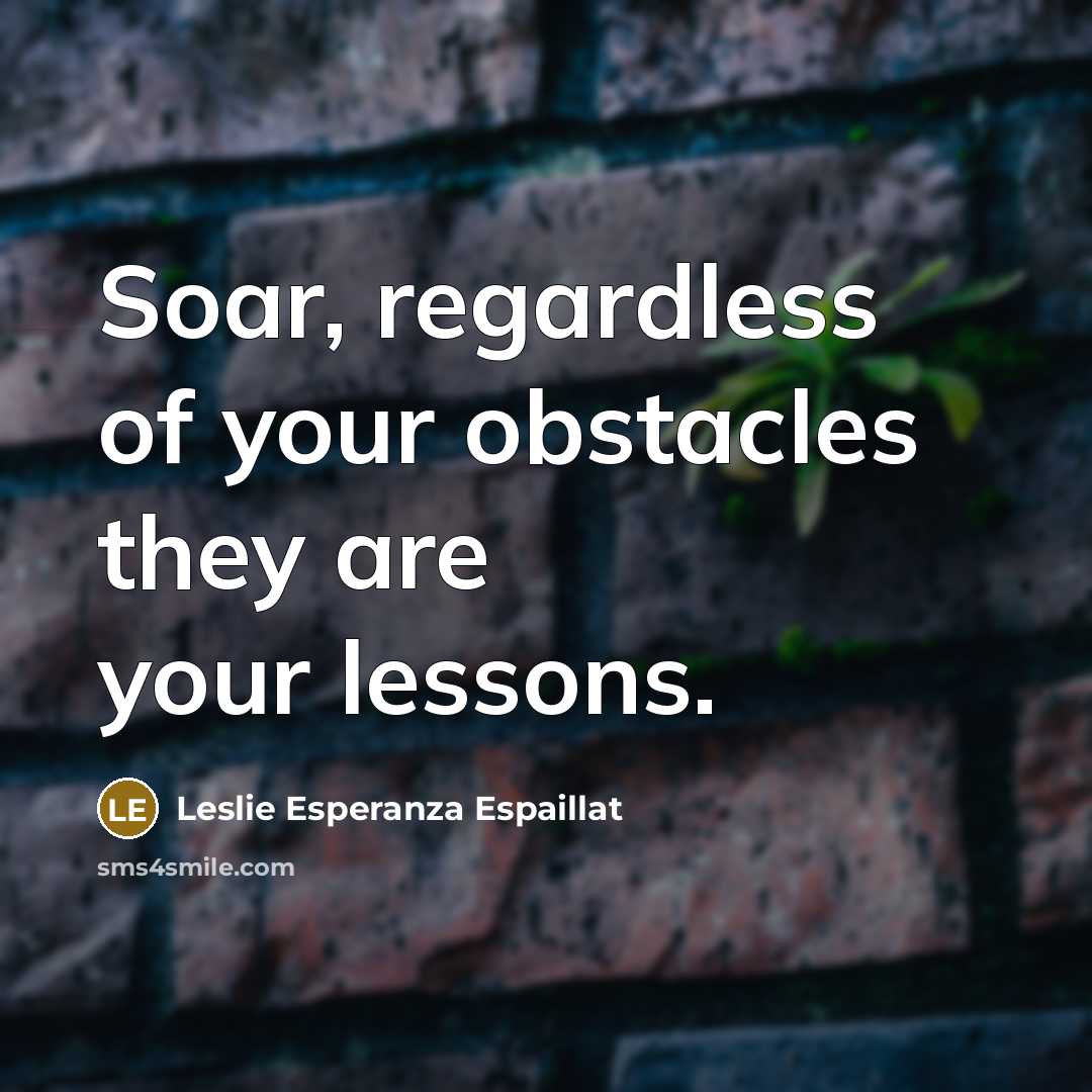“Soar, regardless of your obstacles they are your lessons.…” quote by Leslie Esperanza Espaillat