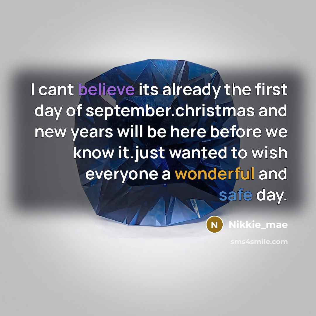 “I cant believe its already the first day of september.christmas…” quote by Nikkie_mae