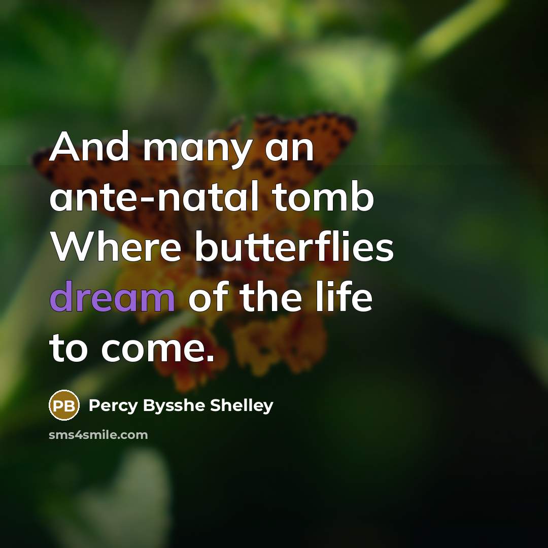 “And many an ante-natal tomb Where butterflies dream of the life to come.” quote by Percy Bysshe Shelley