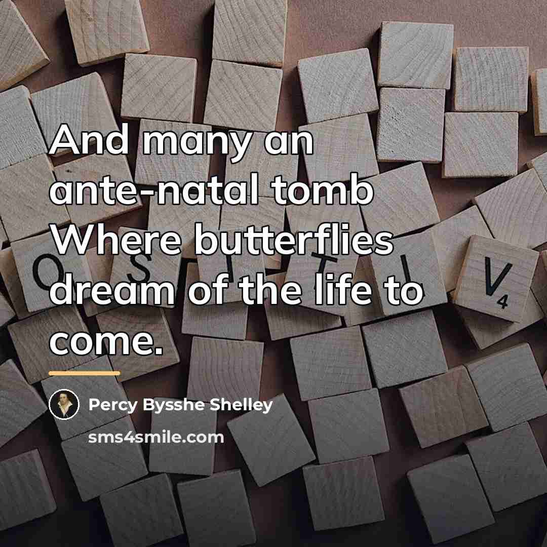 “And many an ante-natal tomb Where butterflies dream of the…” quote by Percy Bysshe Shelley