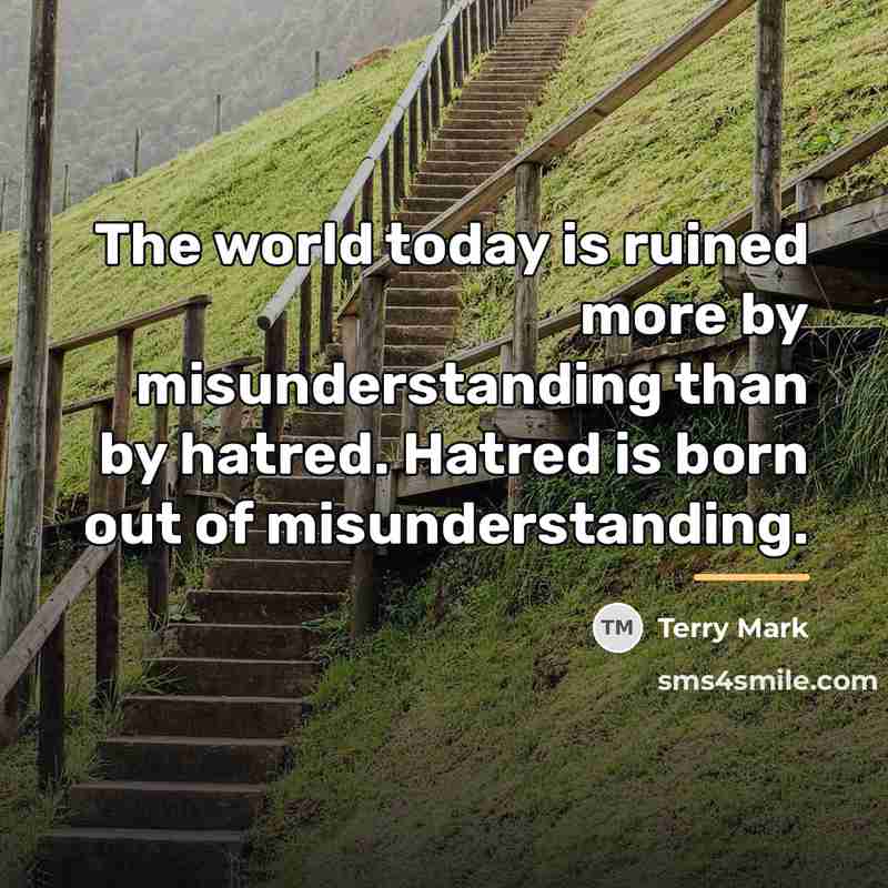 “The world today is ruined more by misunderstanding than by…” quote by Terry Mark