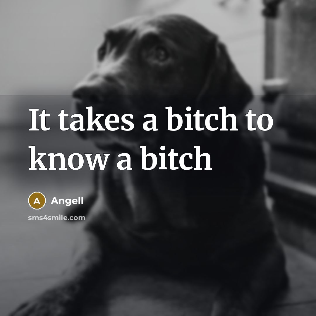 “It takes a bitch to know a bitch” quote by Angell