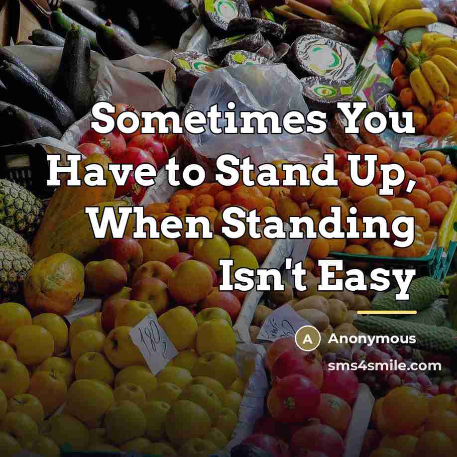 “Sometimes You Have to Stand Up, When Standing Isn't Easy…” quote by Street Fighter