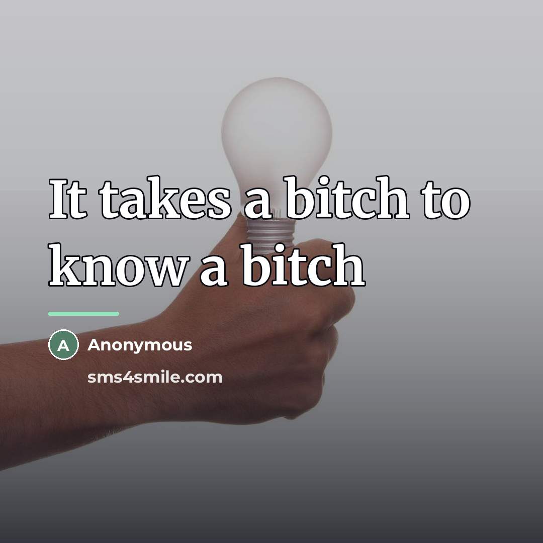 “It takes a bitch to know a bitch…” quote by Angell