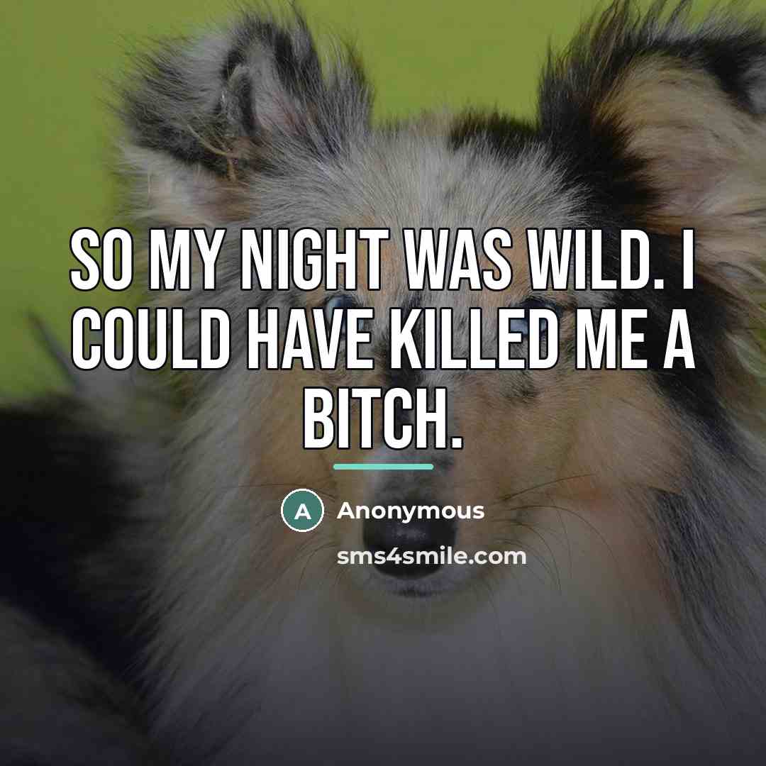 “So my night was wild. I could have killed me…” quote by Anonymous