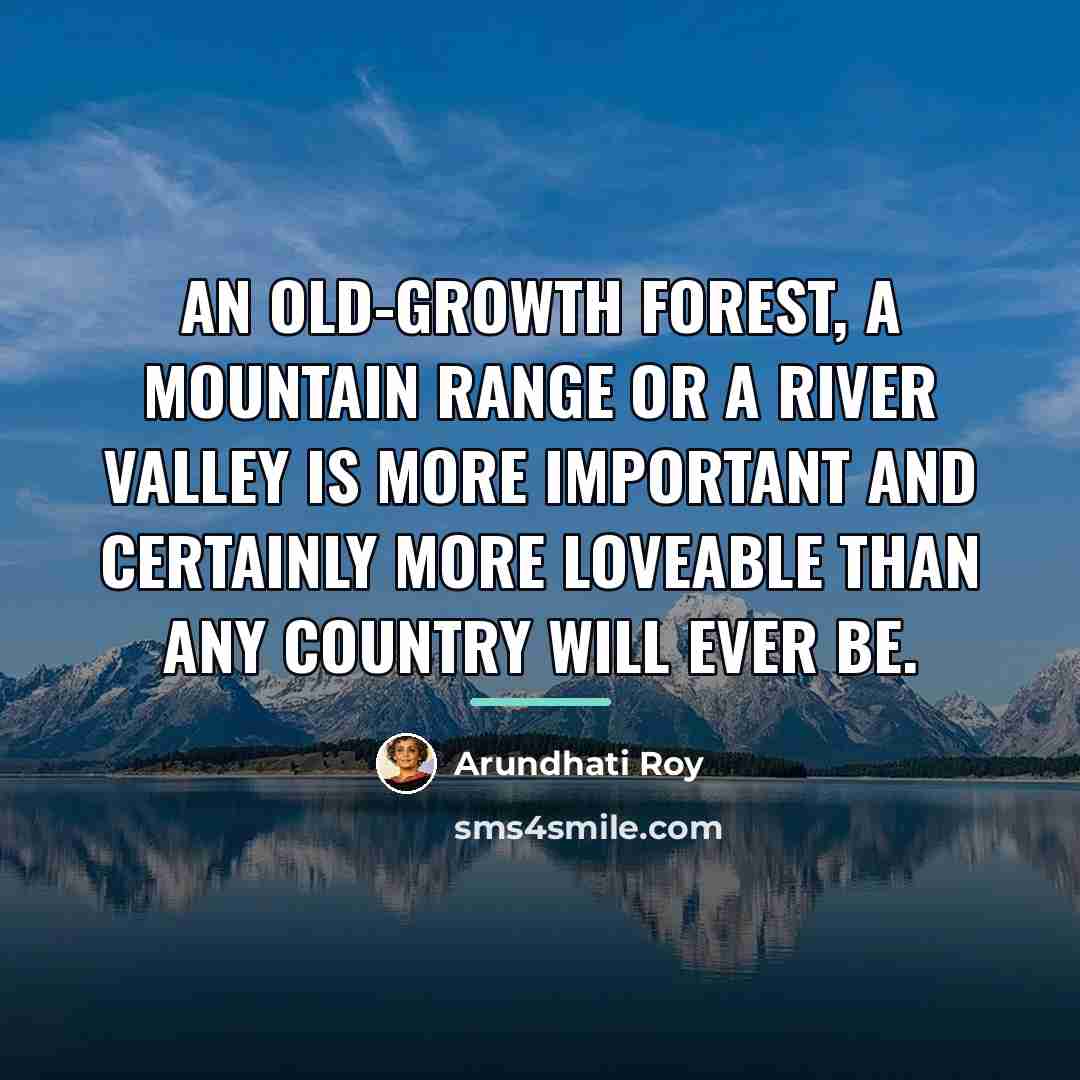 “An old-growth forest, a mountain range or a river valley…” quote by Arundhati Roy