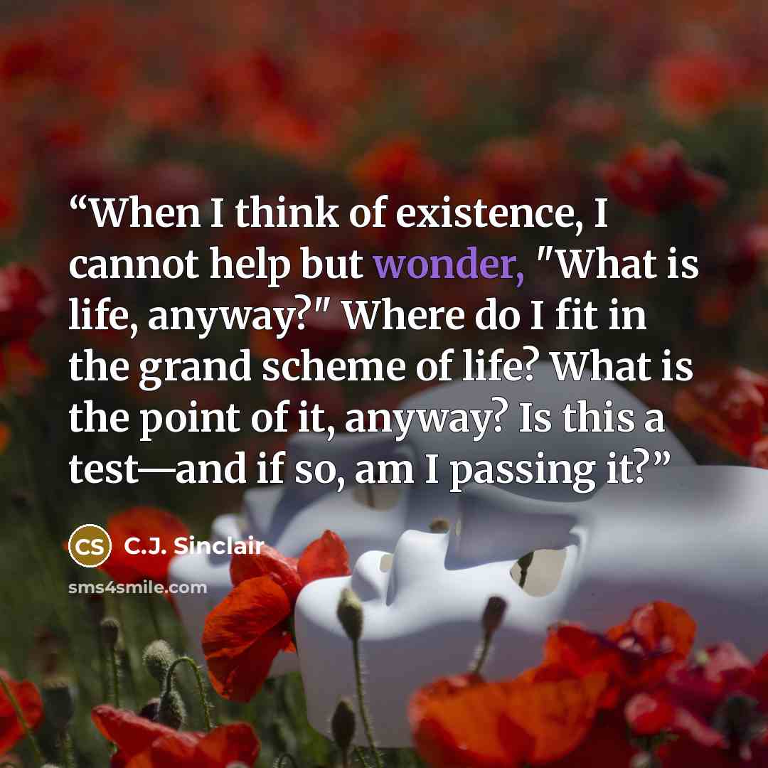 “When I think of existence, I cannot help but wonder, "What is life, anyway?" Where do I fit in the grand scheme of life? What is the point of it, anyway? Is this a test—and if so, am I passing it?” quote by C.J. Sinclair