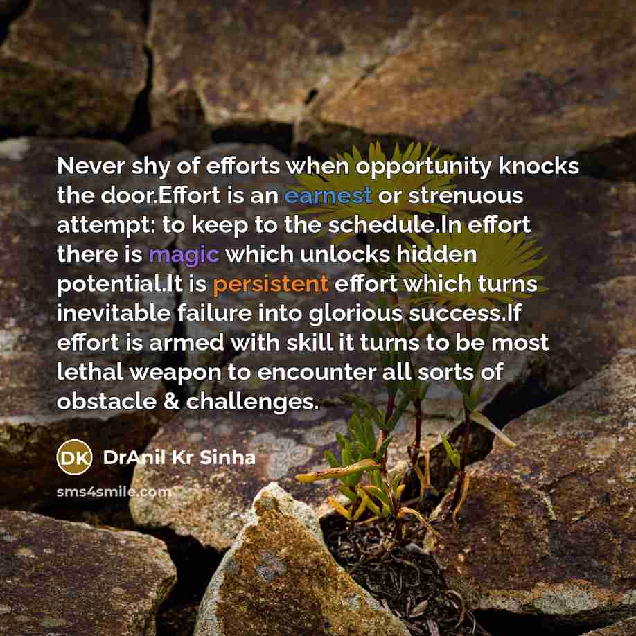 “Never shy of efforts when opportunity knocks the door.Effort is…” quote by DrAnil Kr Sinha