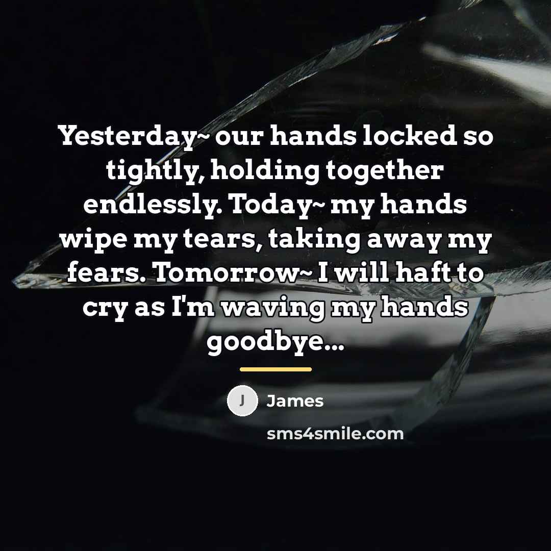 “Yesterday~ our hands locked so tightly, holding together endlessly. Today~…” quote by James
