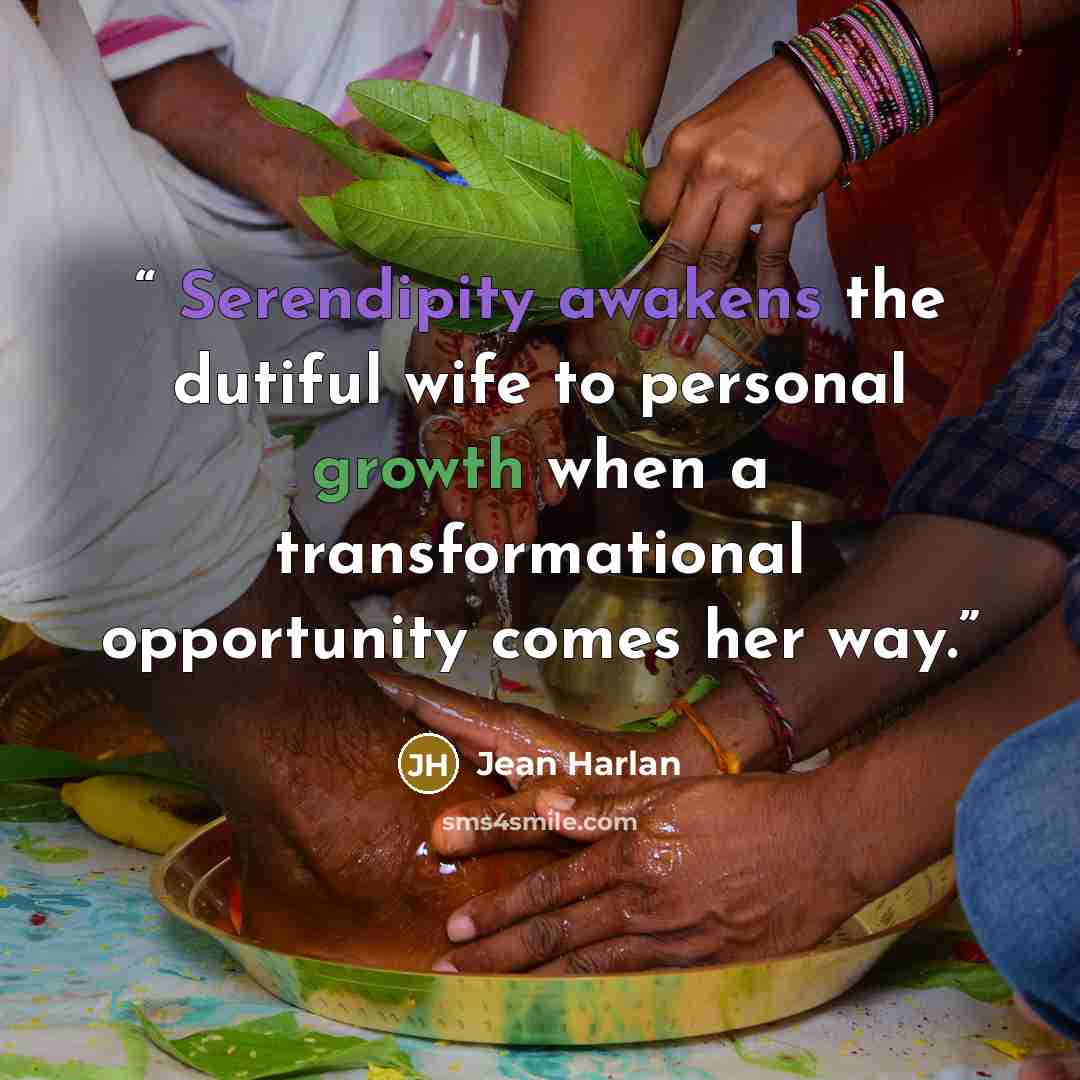 “Serendipity awakens the dutiful wife to personal growth when a transformational opportunity comes her way.” quote by Jean Harlan