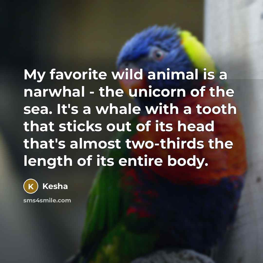 “My favorite wild animal is a narwhal - the unicorn…” quote by Kesha