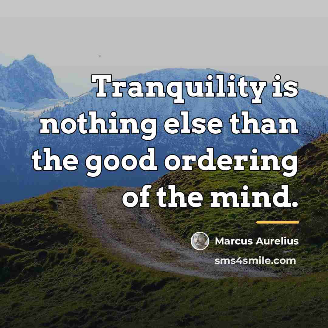 “Tranquility is nothing else than the good ordering of the…” quote by Marcus Aurelius