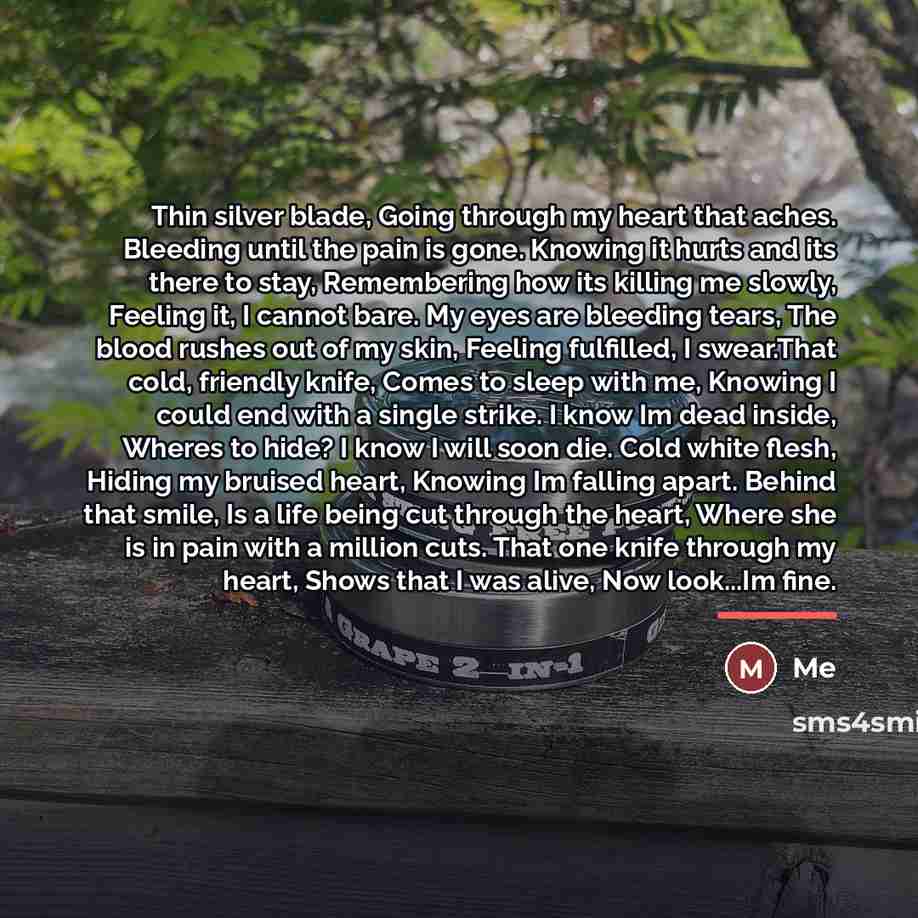 “Thin silver blade, Going through my heart that aches. Bleeding…” quote by Me