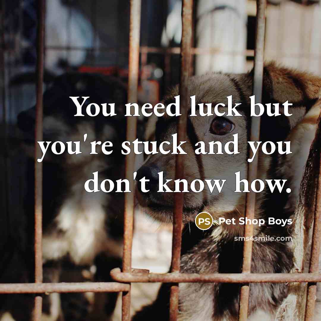 “You need luck but you're stuck and you don't know…” quote by Pet Shop Boys