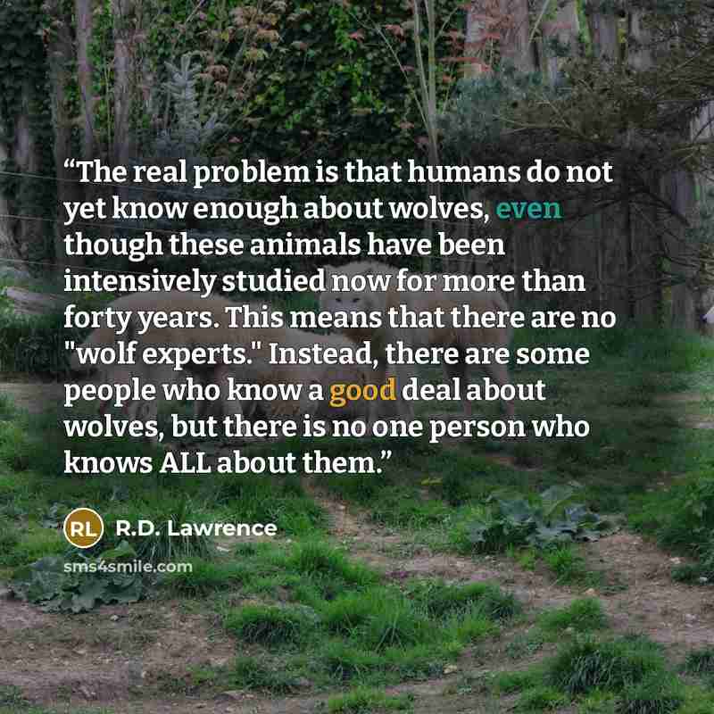 “The real problem is that humans do not yet know enough about wolves, even though these animals have been intensively studied now for more than forty years. This means that there are no "wolf experts." Instead, there are some people who know a good deal about wolves, but there is no one person who…” quote by R.D. Lawrence