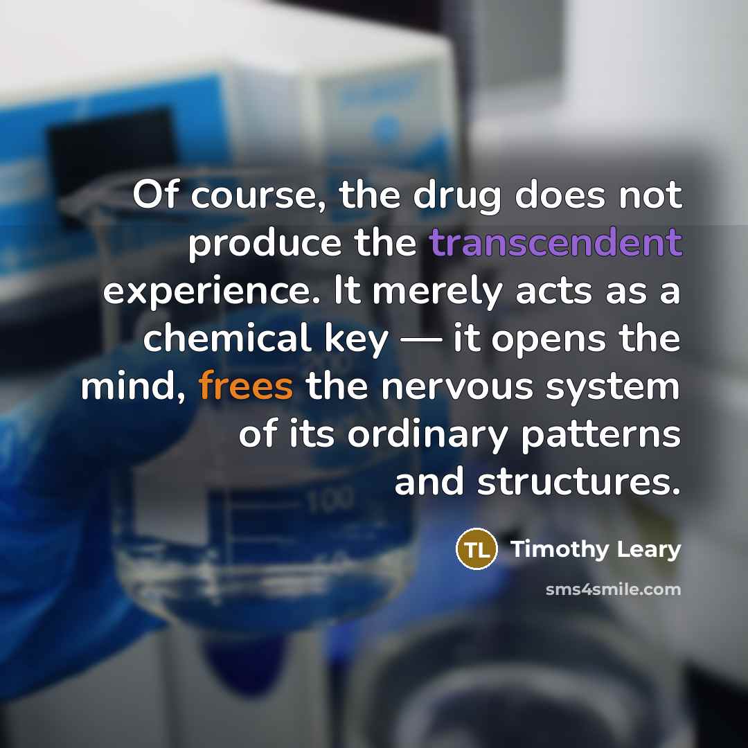 “Of course, the drug does not produce the transcendent experience.…” quote by Timothy Leary