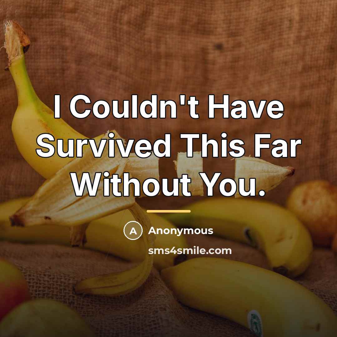 “I Couldn't Have Survived This Far Without You.…” quote by Anonymous