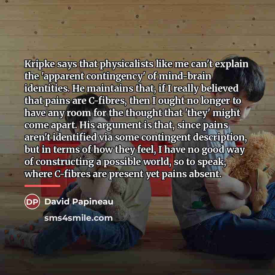 “Kripke says that physicalists like me can't explain the 'apparent…” quote by David Papineau