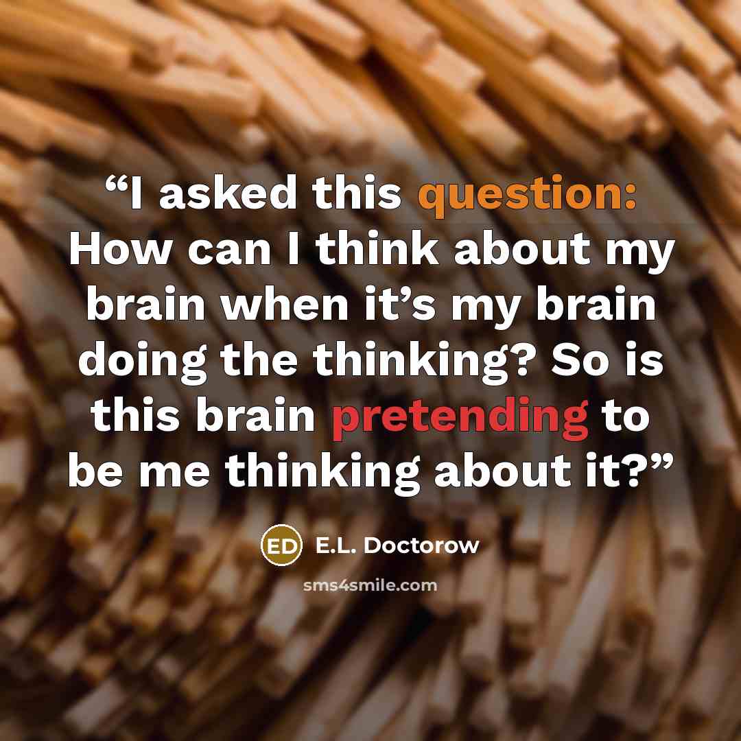 “I asked this question: How can I think about my brain when it’s my brain doing the thinking? So is this brain pretending to be me thinking about it?” quote by E.L. Doctorow