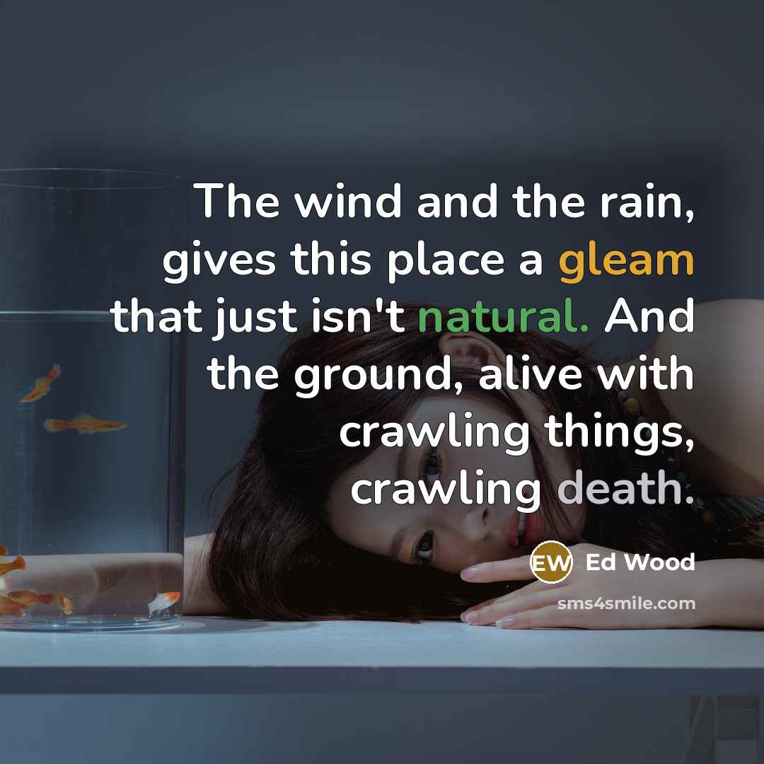 “The wind and the rain, gives this place a gleam…” quote by Ed Wood