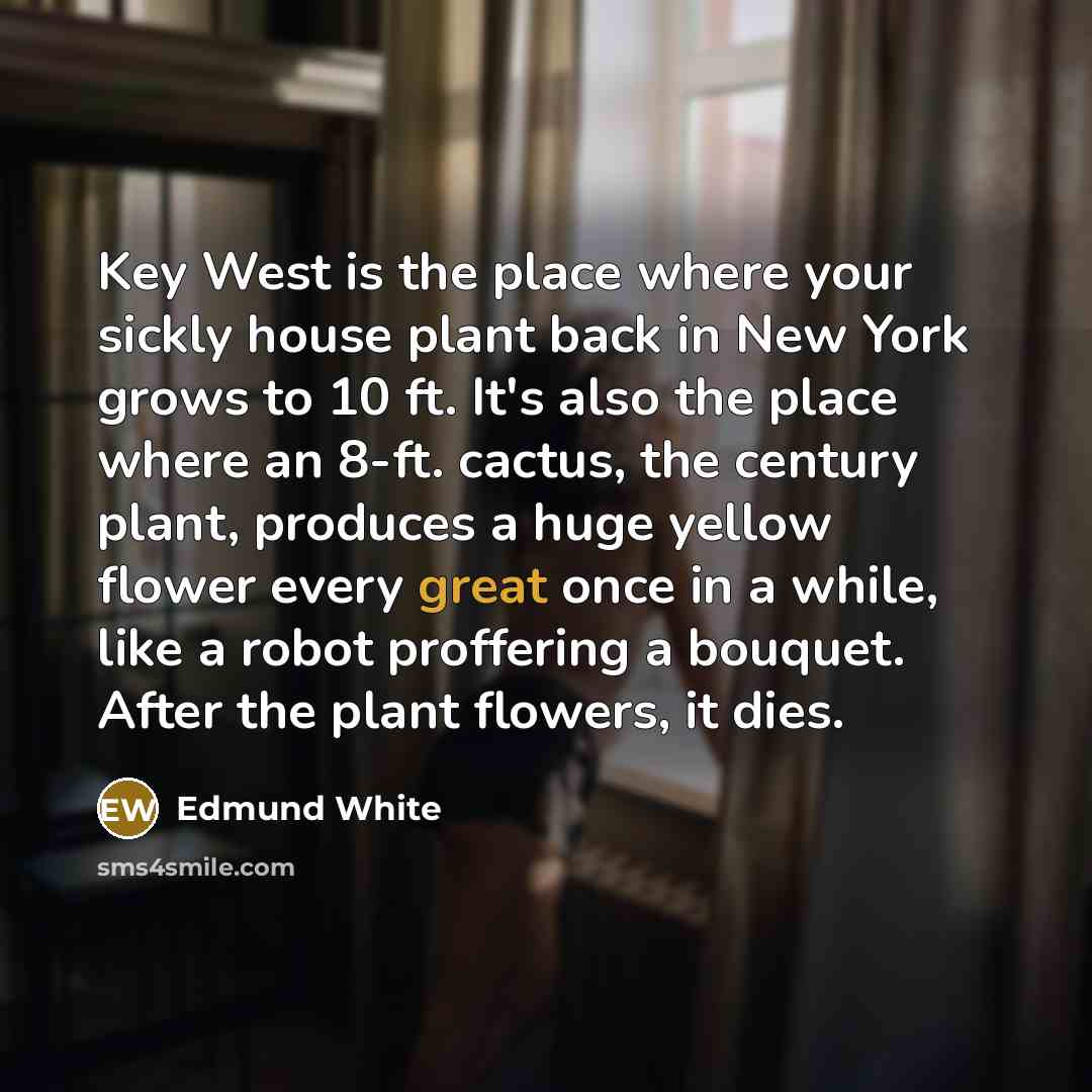 “Key West is the place where your sickly house plant…” quote by Edmund White