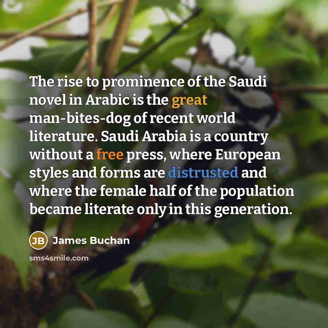 “The rise to prominence of the Saudi novel in Arabic…” quote by James Buchan