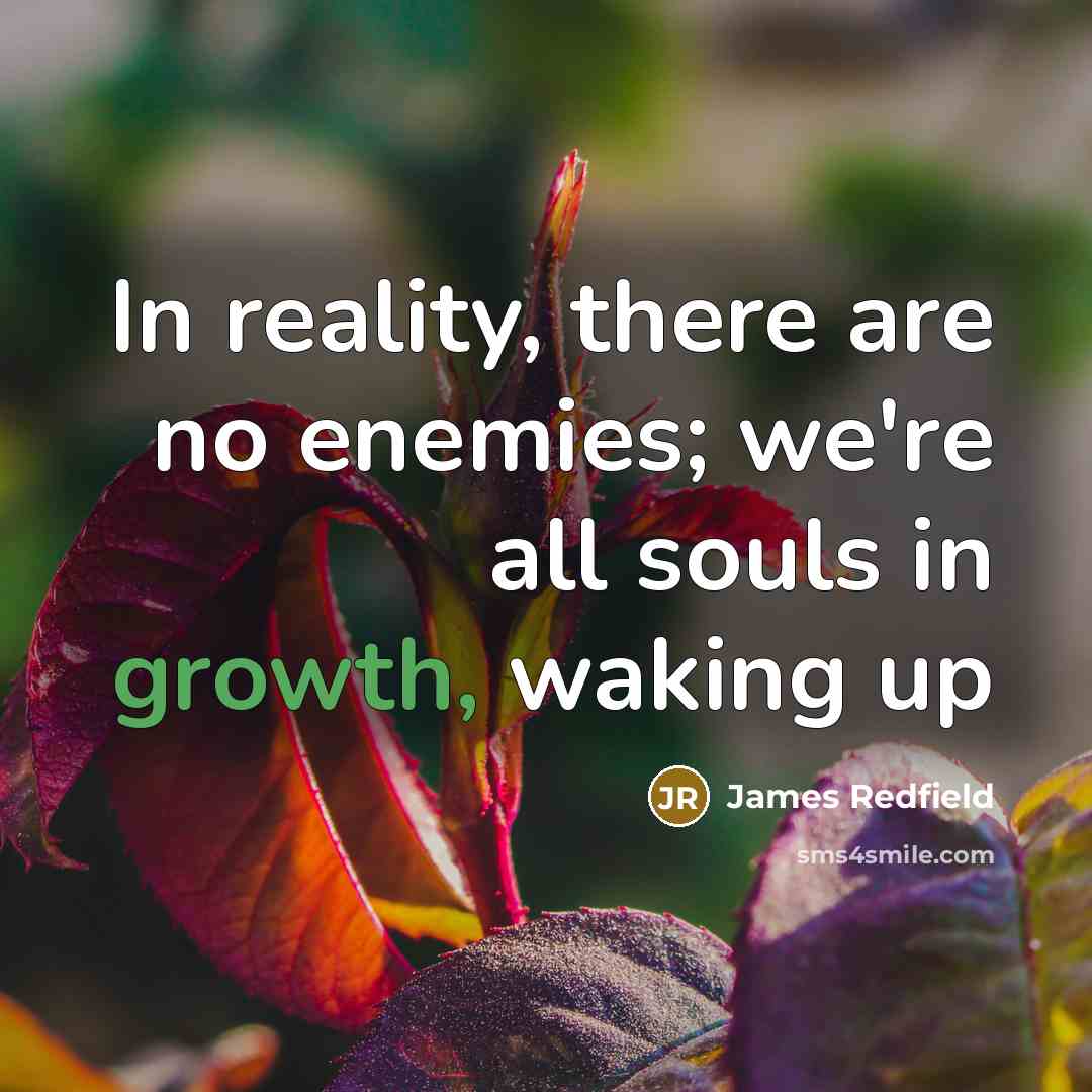 “In reality, there are no enemies; we're all souls in…” quote by James Redfield