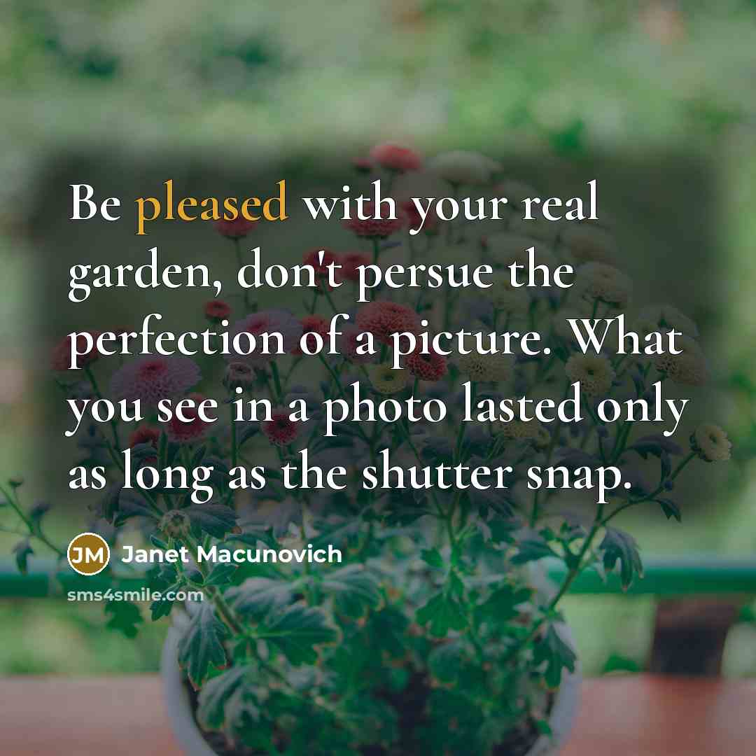 “Be pleased with your real garden, don't persue the perfection…” quote by Janet Macunovich