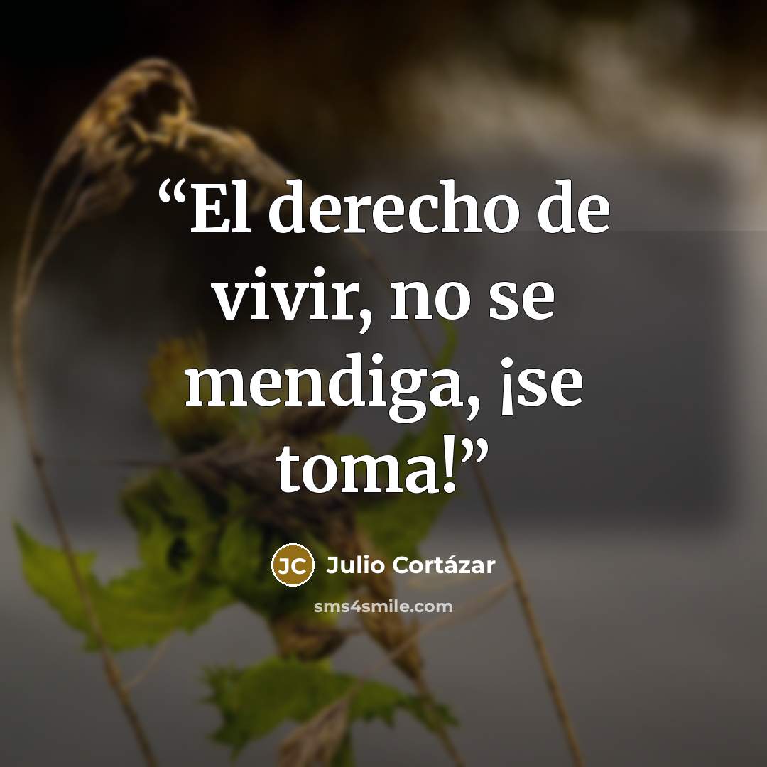 “El derecho de vivir, no se mendiga, ¡se toma!” quote by Julio Cortázar