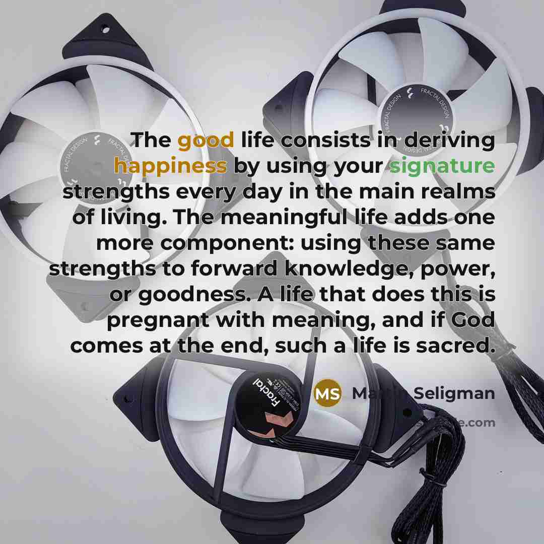 “The good life consists in deriving happiness by using your…” quote by Martin Seligman