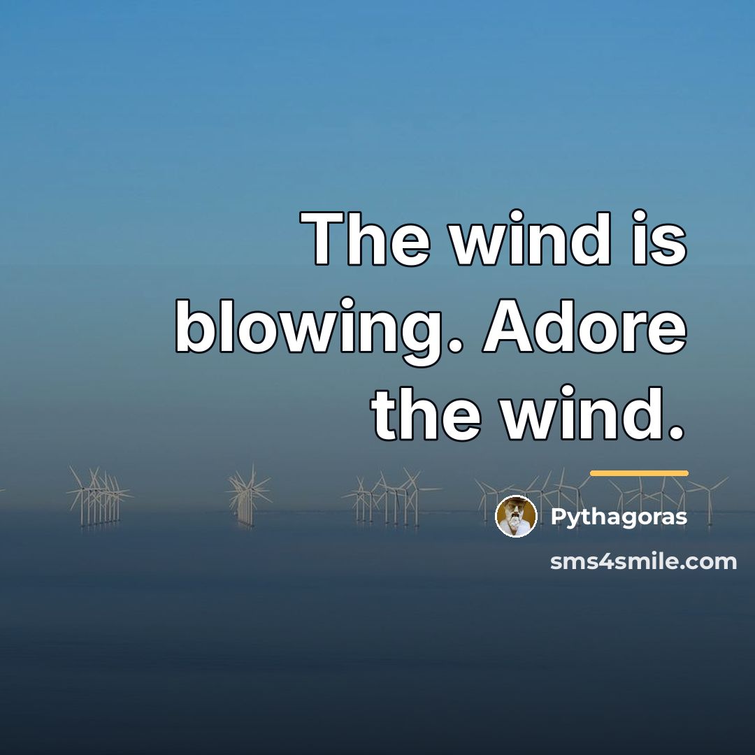 “The wind is blowing. Adore the wind.…” quote by Pythagoras