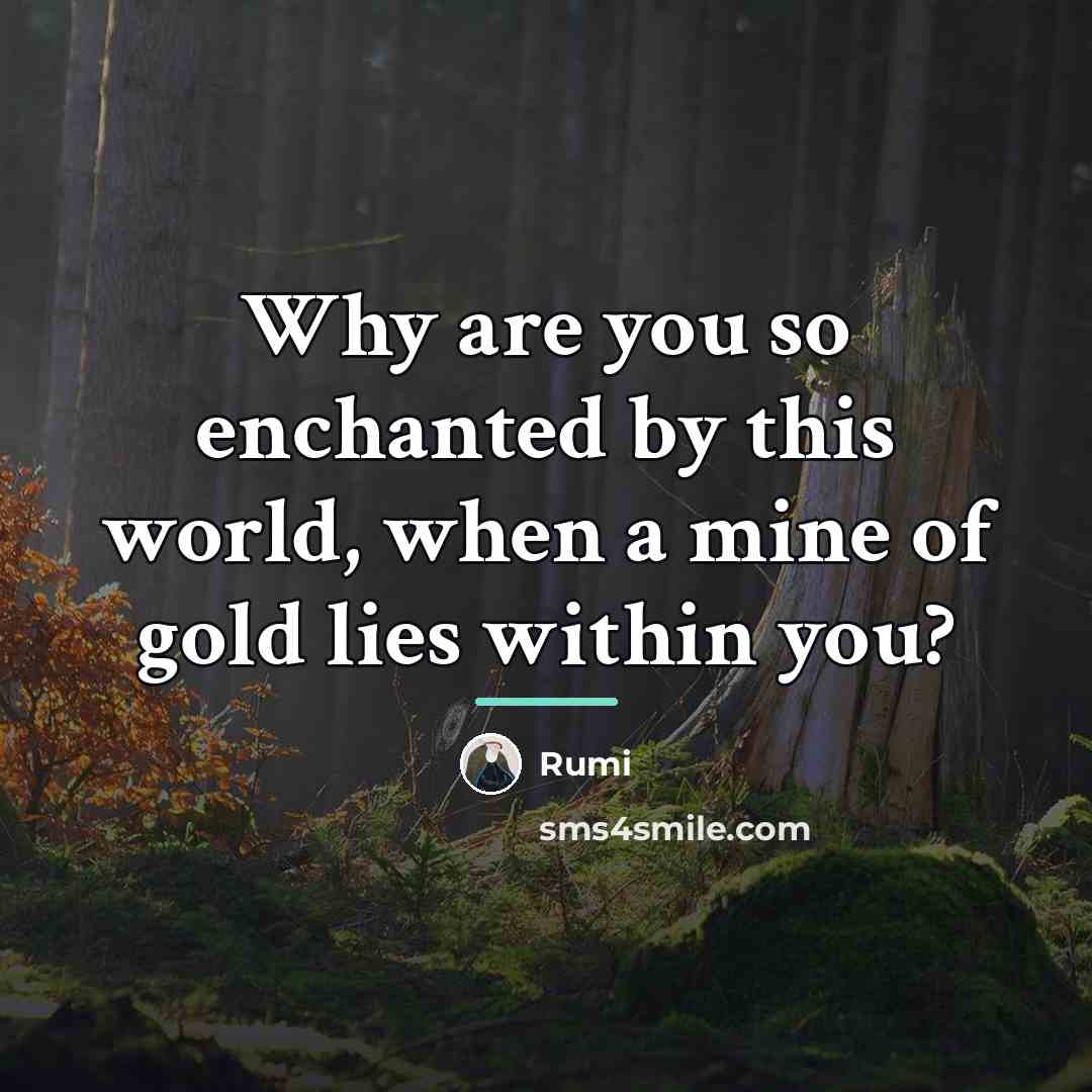 “Why are you so enchanted by this world, when a…” quote by Rumi
